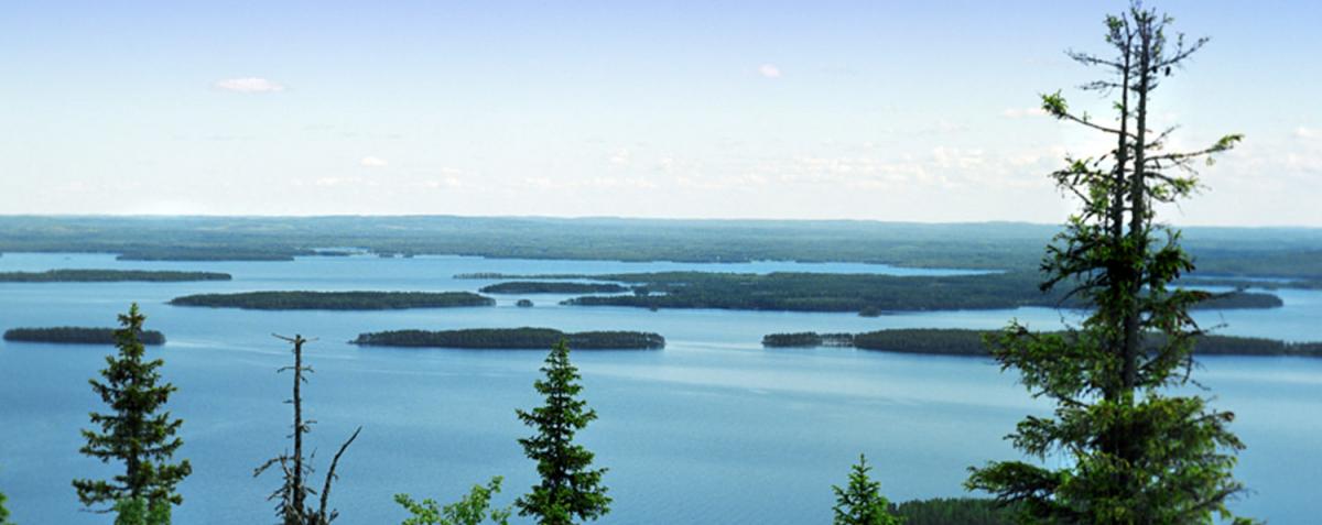 Finland and nature Myllyn Paras愤怒的小鸟燕麦片– 来自芬兰的全进口燕麦片！