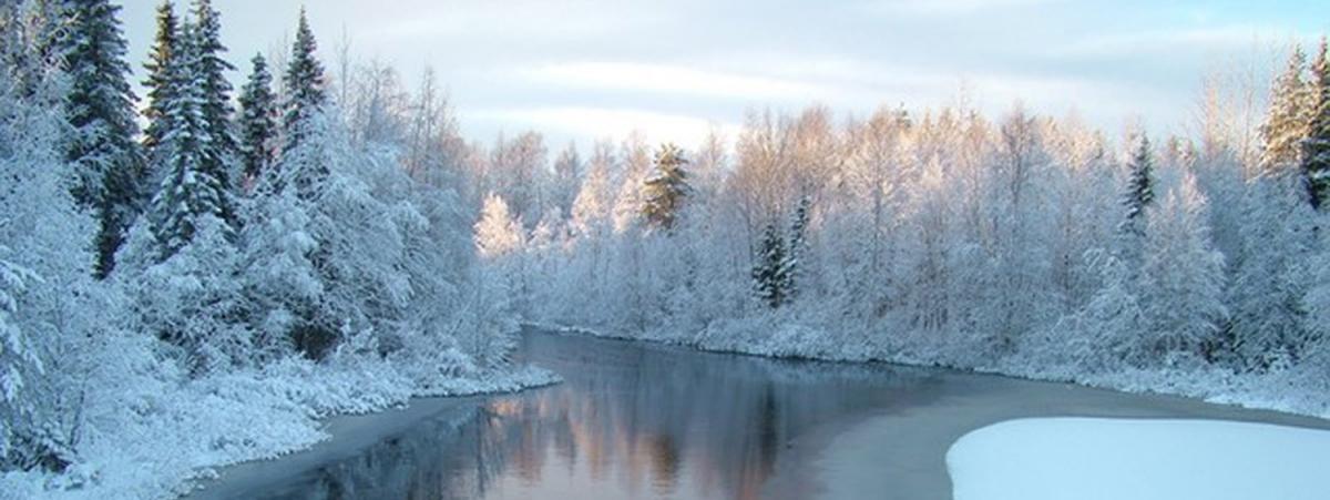 芬兰自然环境